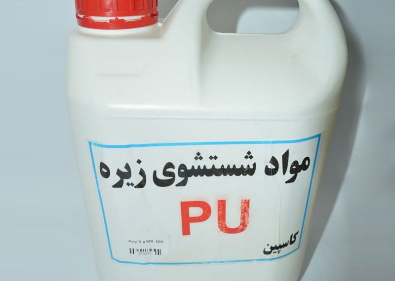 exir-pu